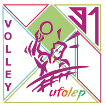 Logo CTD Volley Essonne